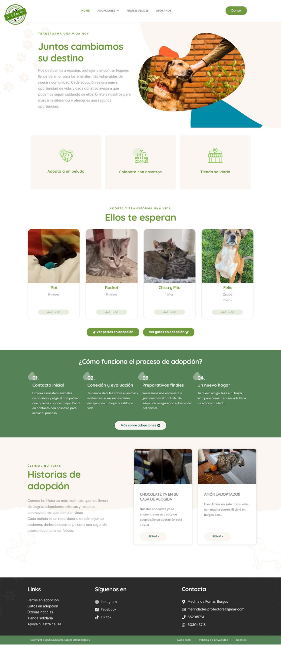 Diseño web protectora