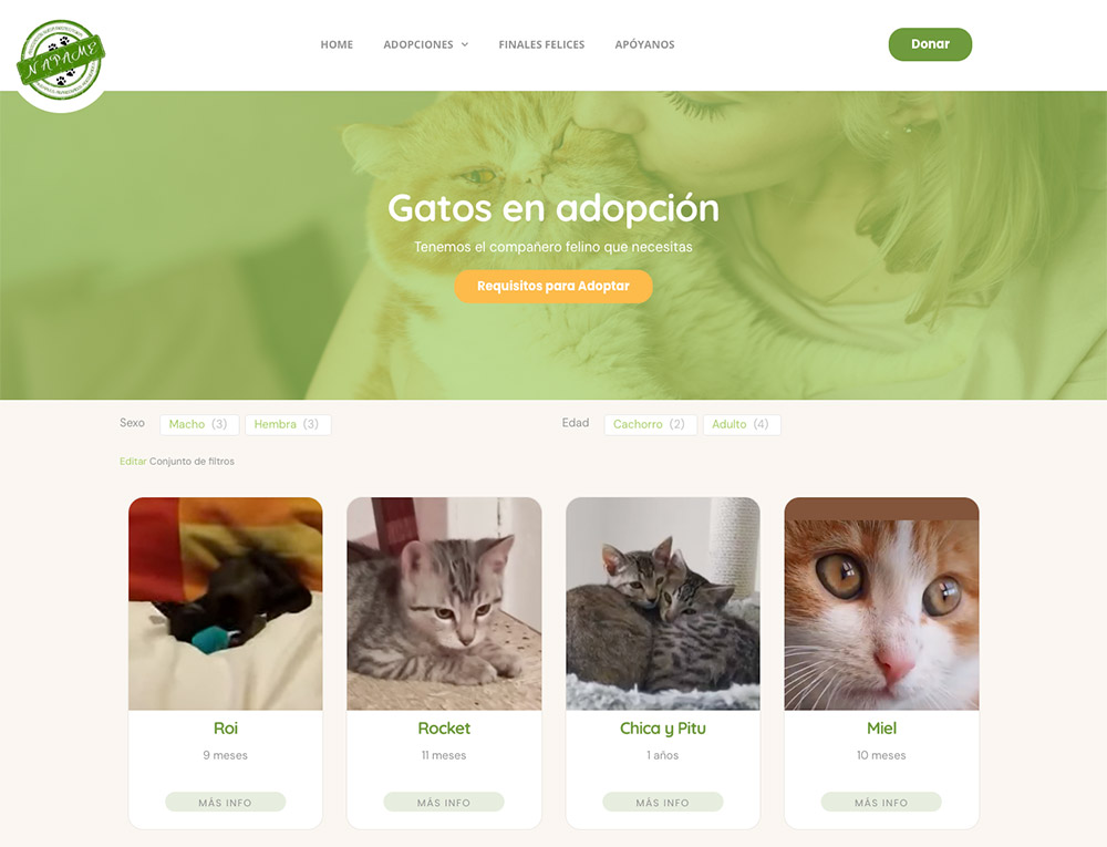 Buscador animales en adopcion